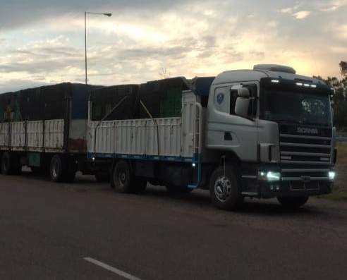 Flota Charanguito en base operativa